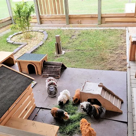 Wiesenhaus 1 Nyaraló *