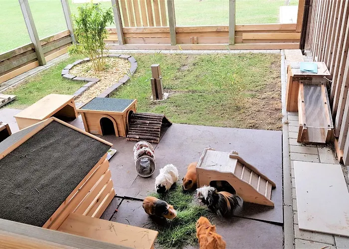 Wiesenhaus 1 Dom wakacyjny *